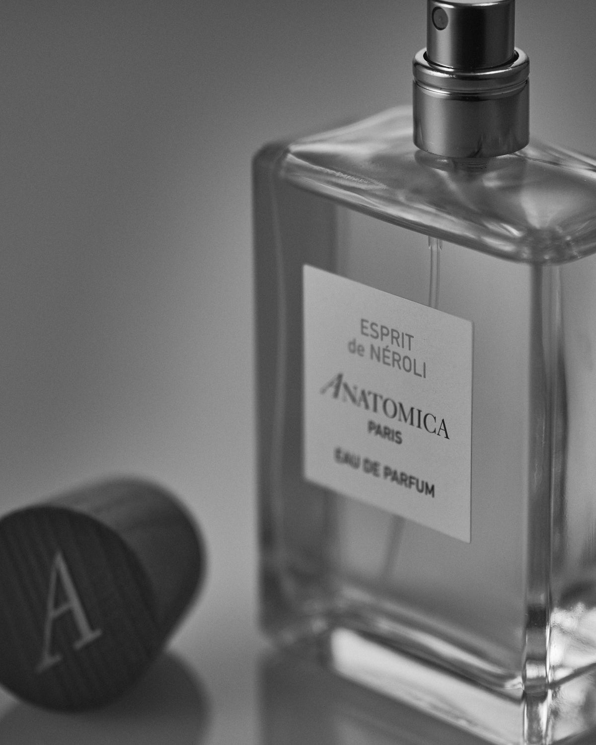 THE SCENT OF ANATOMICA- EAU DE PARFUM – ANATOMICA TOKYO FLAGSHIP STORE